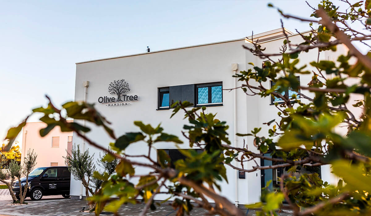 Olive Tree Mansion, Blue dog